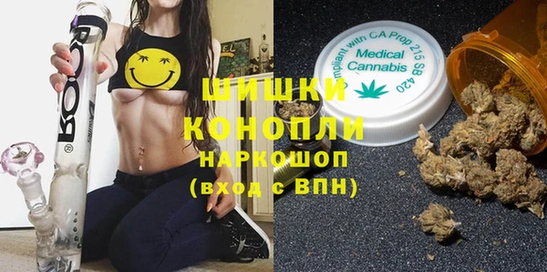 бошки Лагань