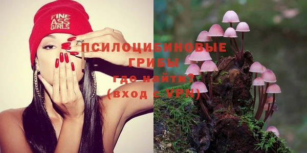 бошки Лагань
