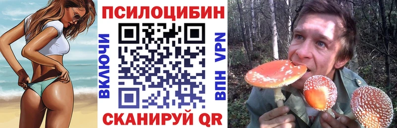 купить наркоту  Комсомольск-на-Амуре  Псилоцибиновые грибы мицелий 